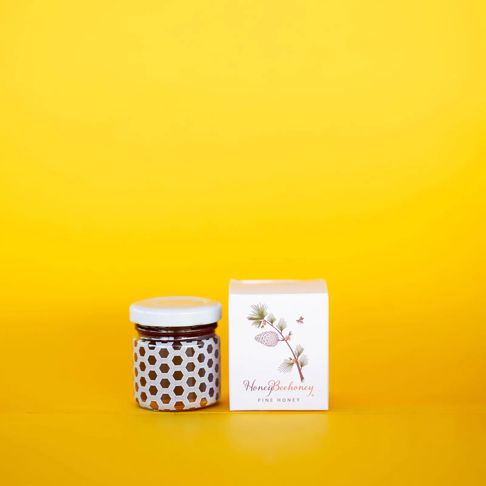 Fotis-Sid-Photograph-134-scaled Kopie