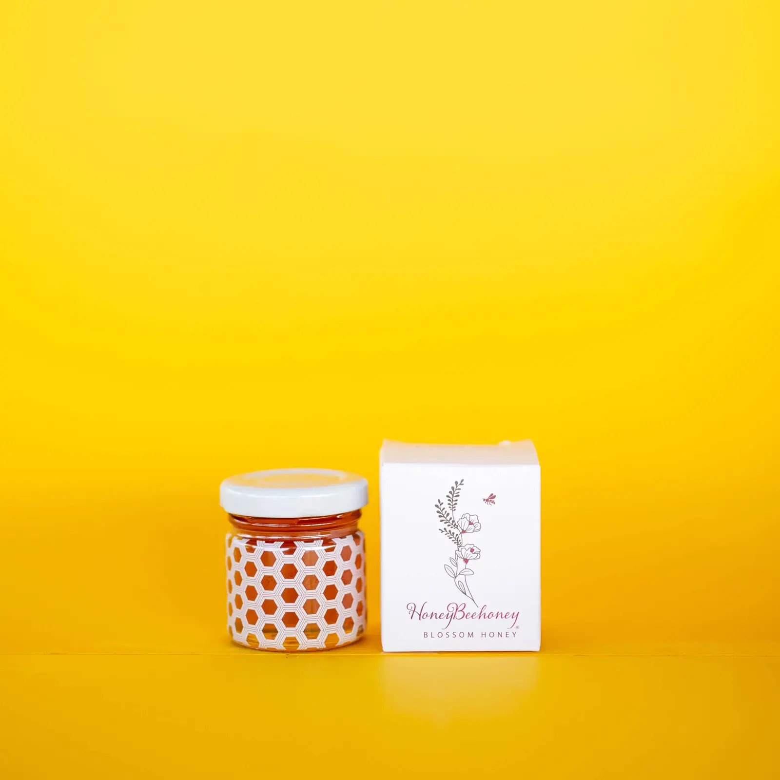 Fotis-Sid-Photograph-140-scaled Kopie